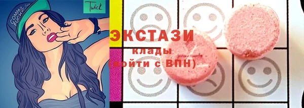 стаф Верея