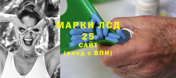 прущие грибы Верхний Тагил