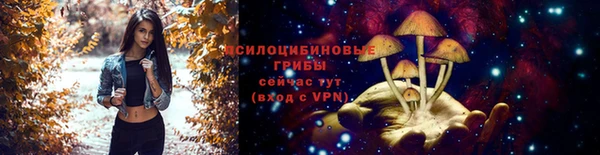 стаф Верея