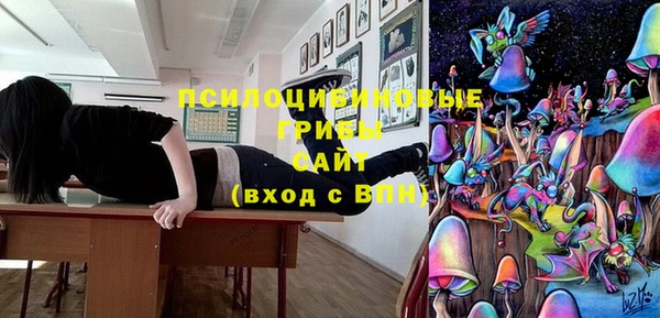 прущие грибы Верхний Тагил