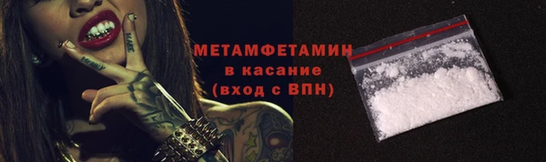 прущие грибы Верхний Тагил