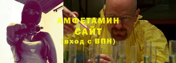 прущие грибы Верхний Тагил
