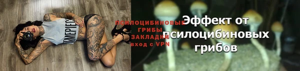 а пвп мука Бронницы
