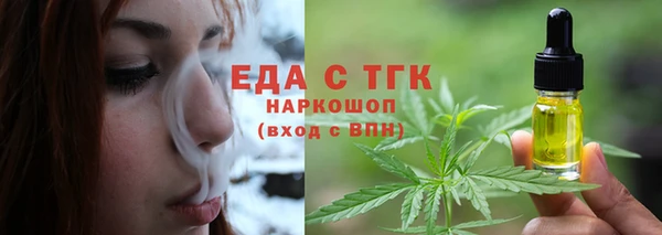прущие грибы Верхний Тагил