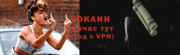 прущие грибы Верхний Тагил