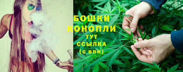 прущие грибы Верхний Тагил