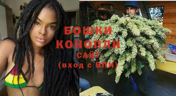 стаф Верея