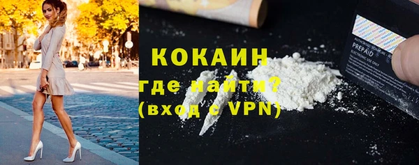 стаф Верея