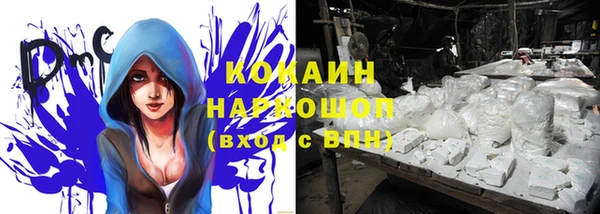 стаф Верея