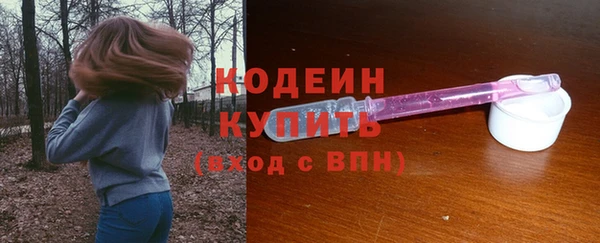 прущие грибы Верхний Тагил