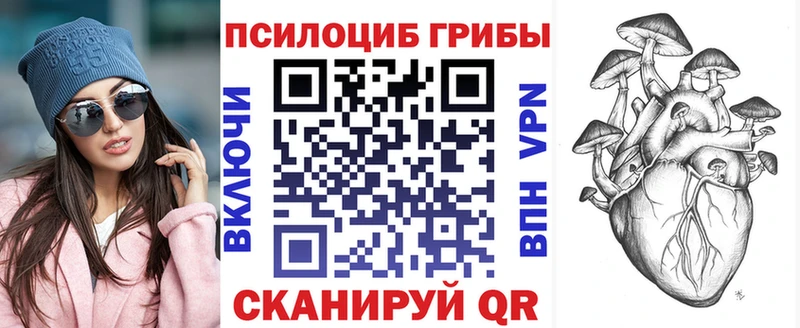 Псилоцибиновые грибы ЛСД Гурьевск